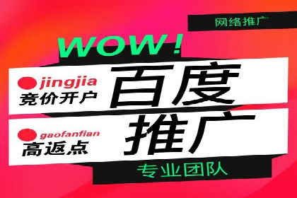 某某SEM团队成功案例：广告投放策略揭秘