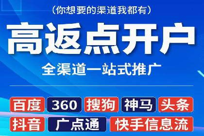 某电商企业如何通过百度竞价广告提升销售额